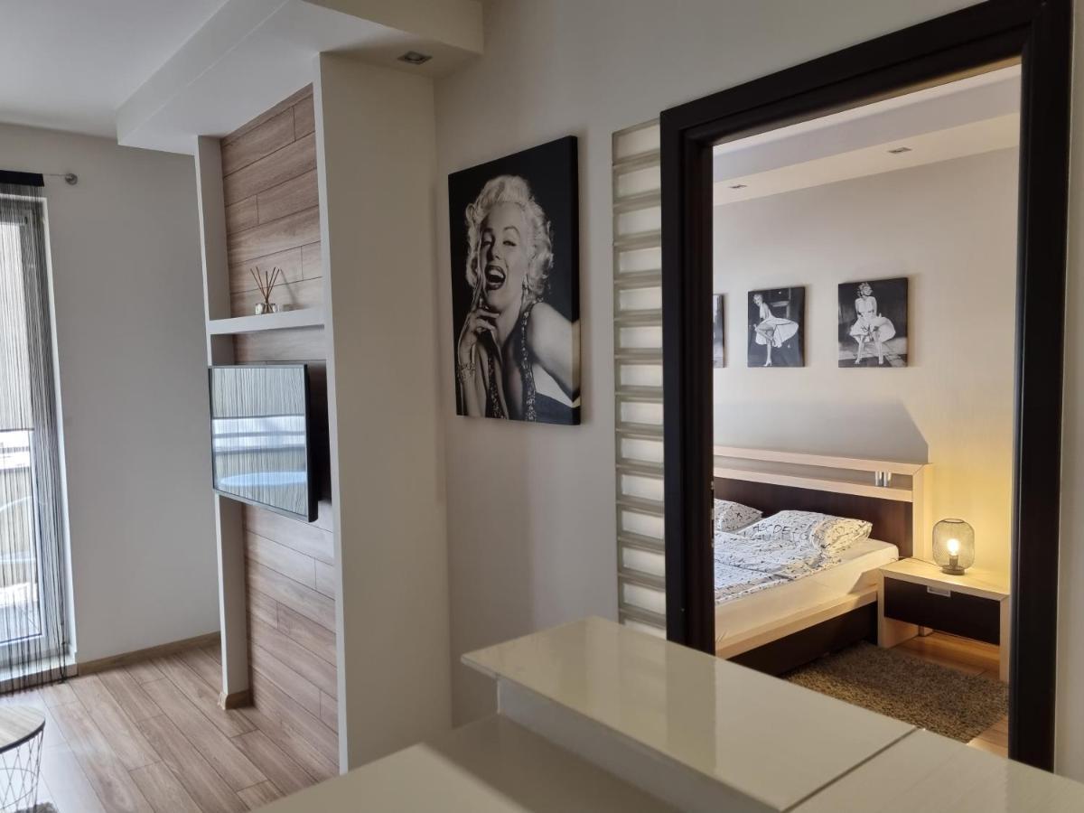 Apartament Exclusive Πόζναν Εξωτερικό φωτογραφία